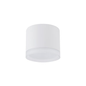 Lampa sufitowa natynkowa SILBA Biały 10476 - Nowodvorski