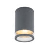 Lampa sufitowa plafon ROCK PRO Grafitowy 10687 - Nowodvorski - obrazek 2
