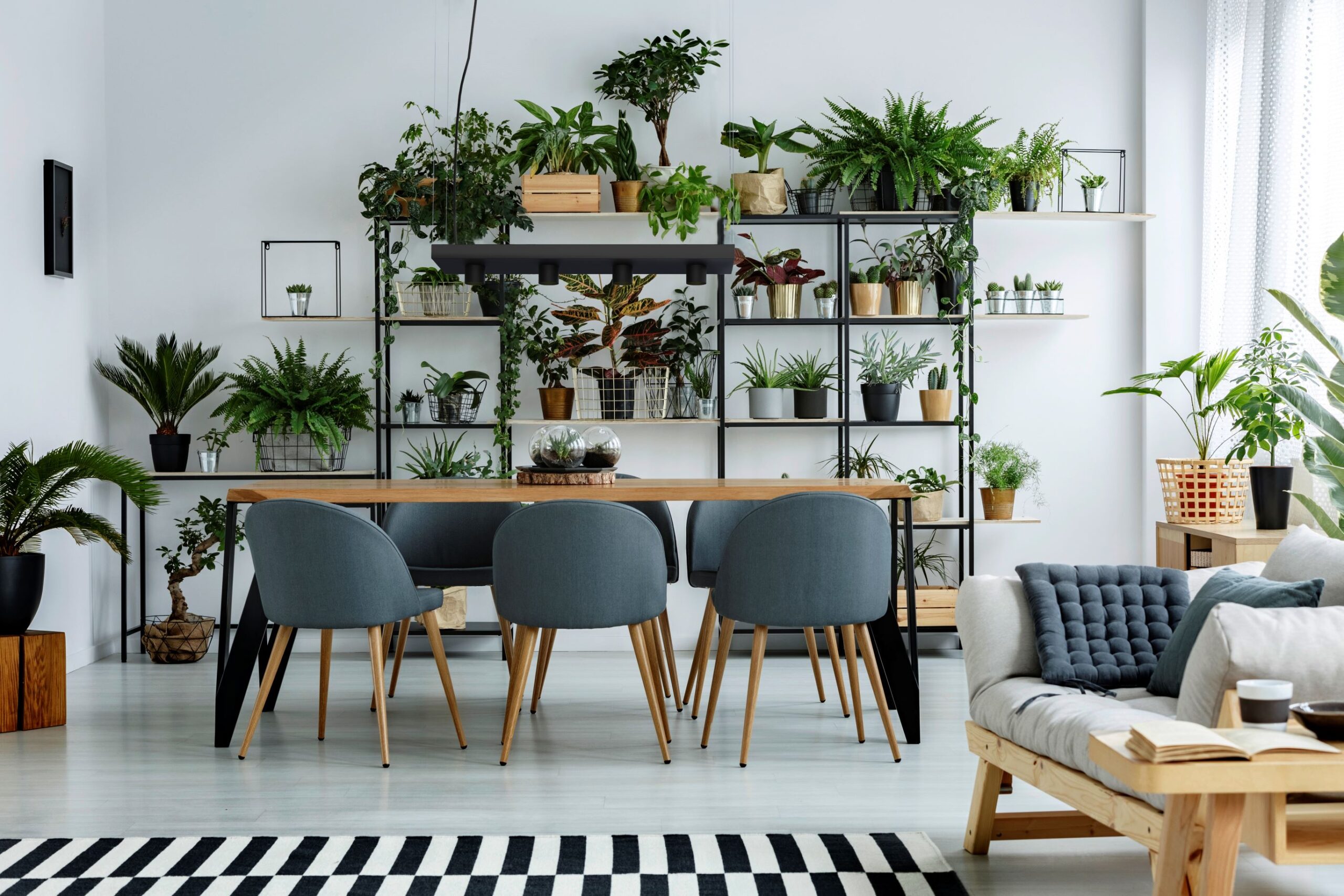 Lampa wisząca PLANT Czarny 9381 - Nowodvorski - obrazek 6