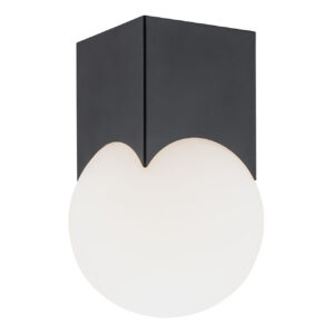 Plafon AUSTIN 4713 - Argon