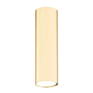 Plafon TYBER PLUS 4761 - Argon