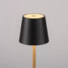 Zewnętrzna lampa stołowa EURIA 19250-68 oprawa w kolorze czerni i złota - Paul Neuhause - obrazek 6