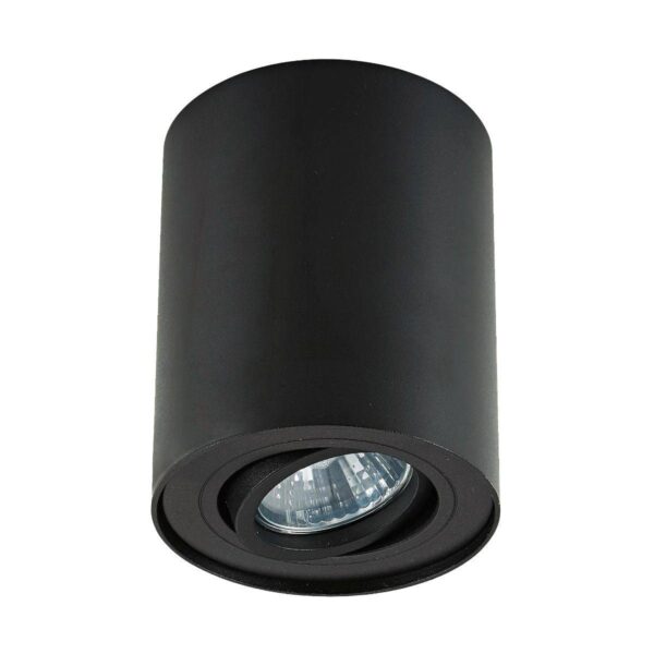 Oprawa stropowa w kolorze czarnym RONDOO SL 1 20038-BK-N - Zuma Line