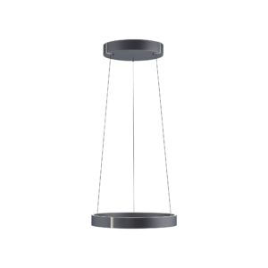 Lampa wisząca PURE E-CLIPSE 2560-15 oprawa w kolorze szarym + pilot - Paul Neuhause