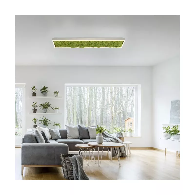 Plafon GREEN KNUT 15623-66 oprawa w kolorze srebrnym z wypełnieniem z hrobotka reniferowego - Paul Neuhause - obrazek 4