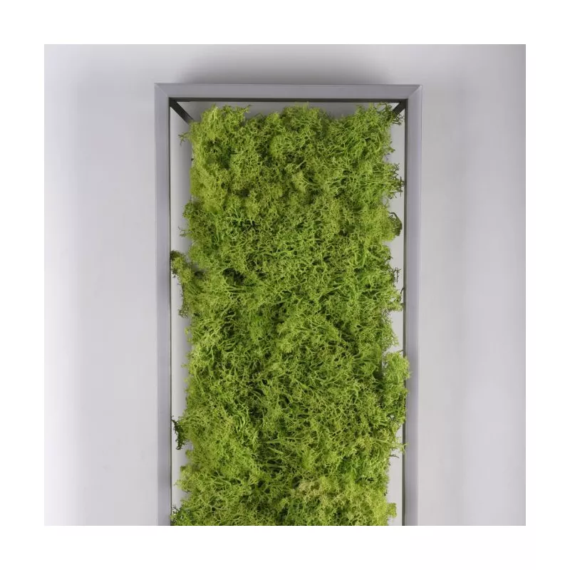 Plafon GREEN KNUT 15623-66 oprawa w kolorze srebrnym z wypełnieniem z hrobotka reniferowego - Paul Neuhause - obrazek 5