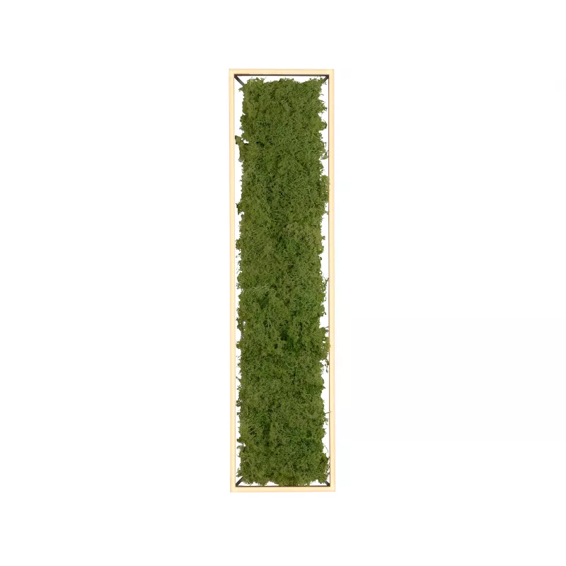 Plafon GREEN KNUT 15623-66 oprawa w kolorze srebrnym z wypełnieniem z hrobotka reniferowego - Paul Neuhause - obrazek 2