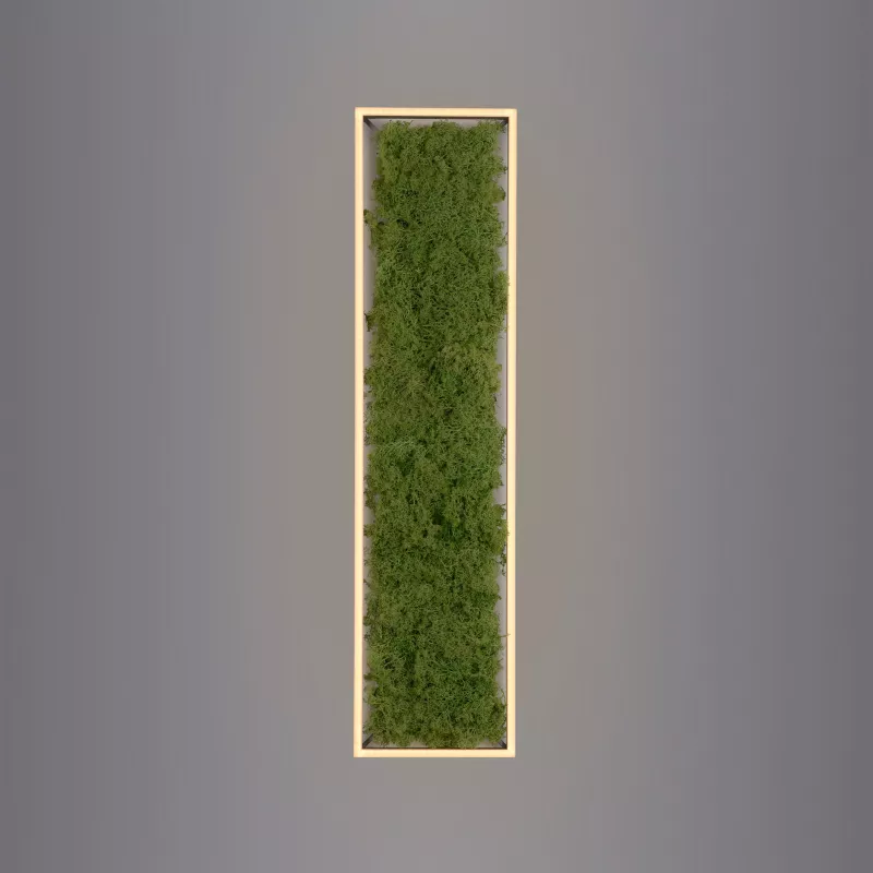 Plafon GREEN KNUT 15623-66 oprawa w kolorze srebrnym z wypełnieniem z hrobotka reniferowego - Paul Neuhause - obrazek 6