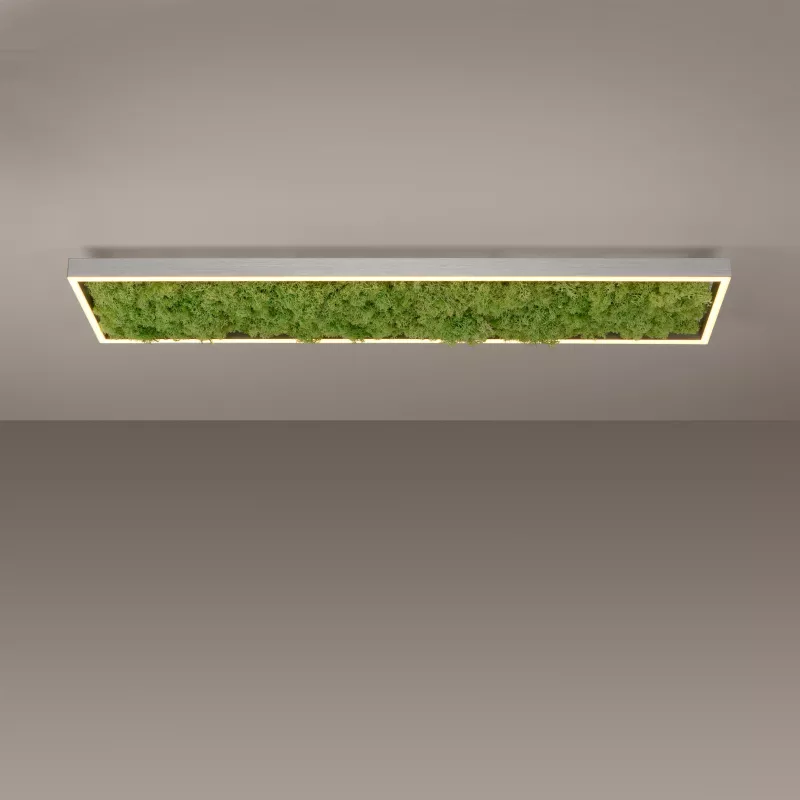 Plafon GREEN KNUT 15623-66 oprawa w kolorze srebrnym z wypełnieniem z hrobotka reniferowego - Paul Neuhause - obrazek 7