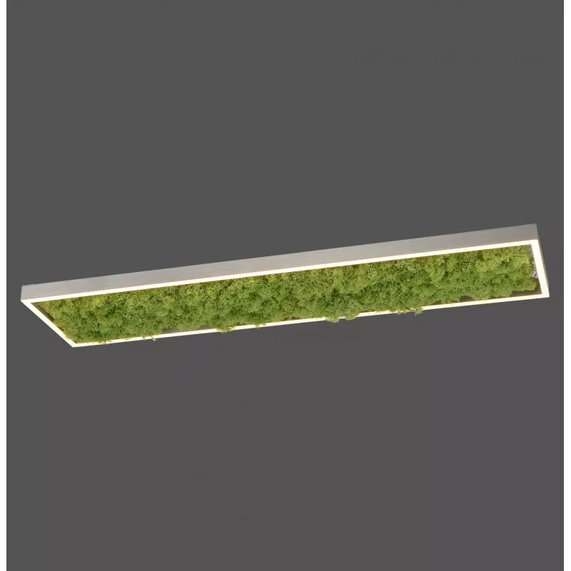 Plafon GREEN KNUT 15623-66 oprawa w kolorze srebrnym z wypełnieniem z hrobotka reniferowego - Paul Neuhause - obrazek 8