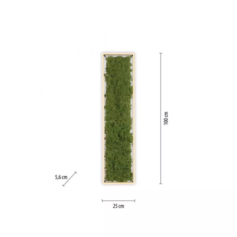 Plafon GREEN KNUT 15623-66 oprawa w kolorze srebrnym z wypełnieniem z hrobotka reniferowego - Paul Neuhause - obrazek 9