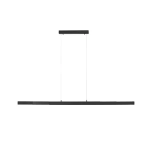 Lampa wisząca LUZI 11660-13 oprawa w kolorze antracytowym - Paul Neuhause