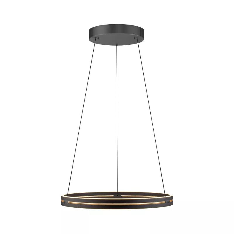 Lampa wisząca PURE E-LOOP 2551-18 oprawa w kolorze czarnym z elementami mosiądzu + pilot - Paul Neuhause - obrazek 3