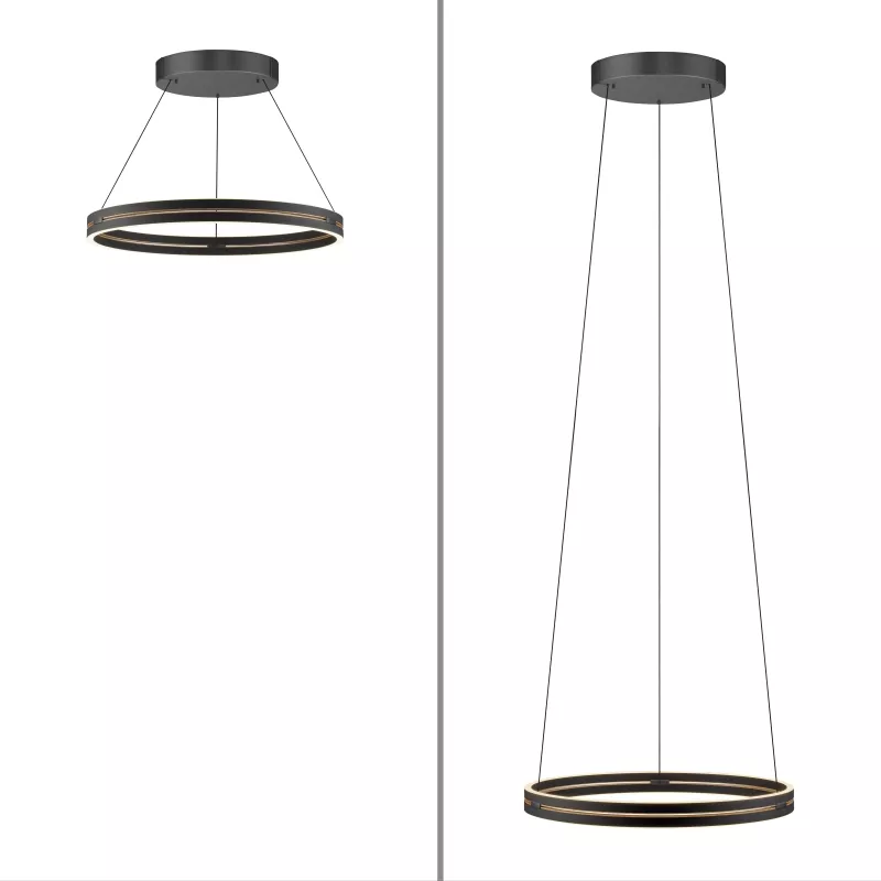 Lampa wisząca PURE E-LOOP 2551-18 oprawa w kolorze czarnym z elementami mosiądzu + pilot - Paul Neuhause - obrazek 7