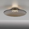 Plafon PURE MOON 6095-97 oprawa w kolorze brązowym - Paul Neuhause - obrazek 5