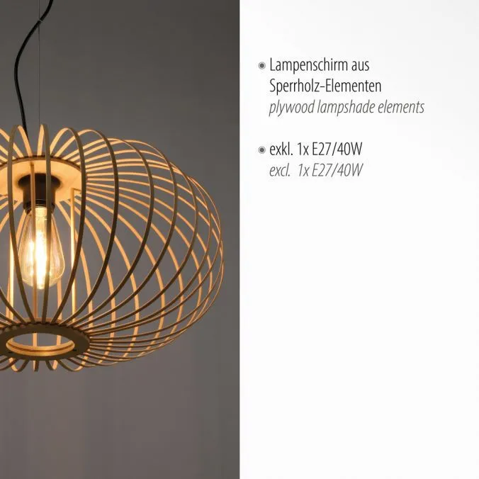 Lampa loft wisząca RACOON 11409-79 - Paul Neuhaus - obrazek 3