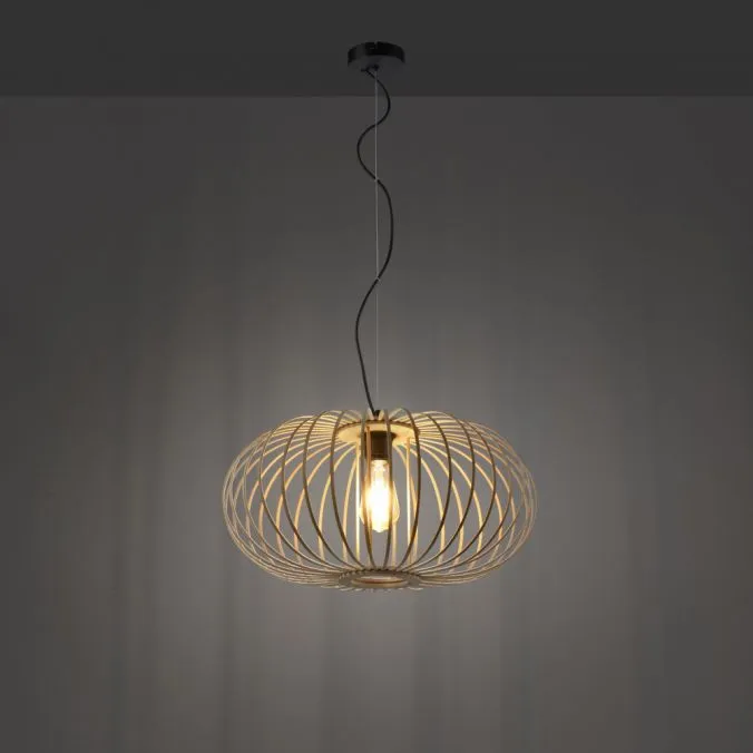 Lampa loft wisząca RACOON 11409-79 - Paul Neuhaus - obrazek 5