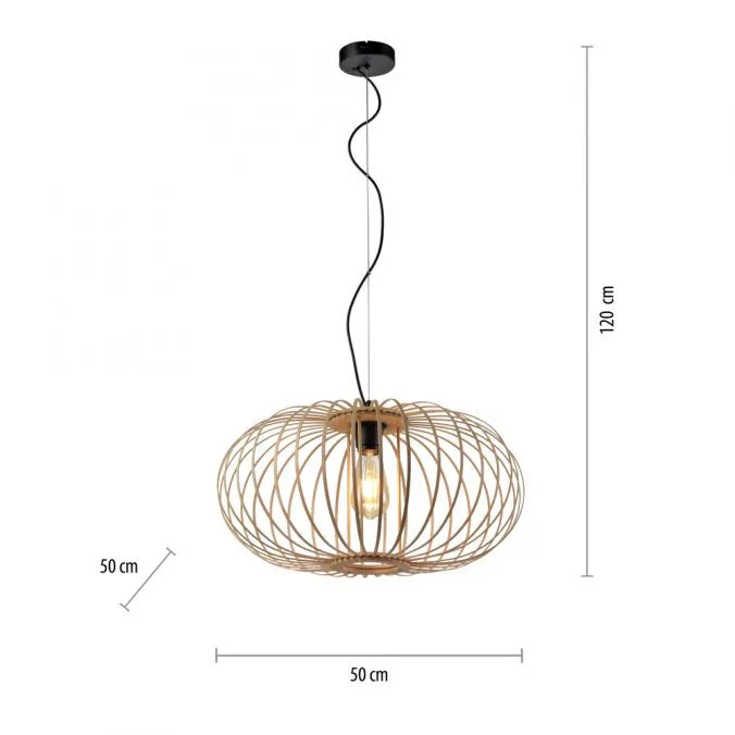 Lampa loft wisząca RACOON 11409-79 - Paul Neuhaus - obrazek 6