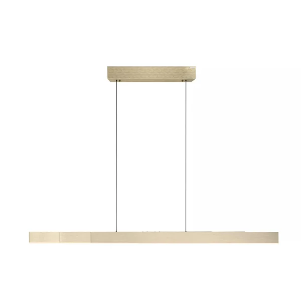Lampa wisząca z funkcją windy PURE MOTO-RISE 2545-60 - Paul Neuhaus