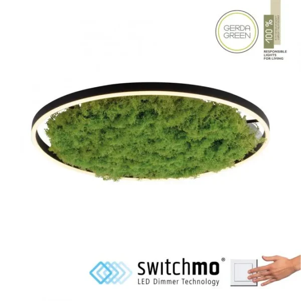 Lampa sufitowa GREEN RITUS 15392-66 - Paul Neuhaus
