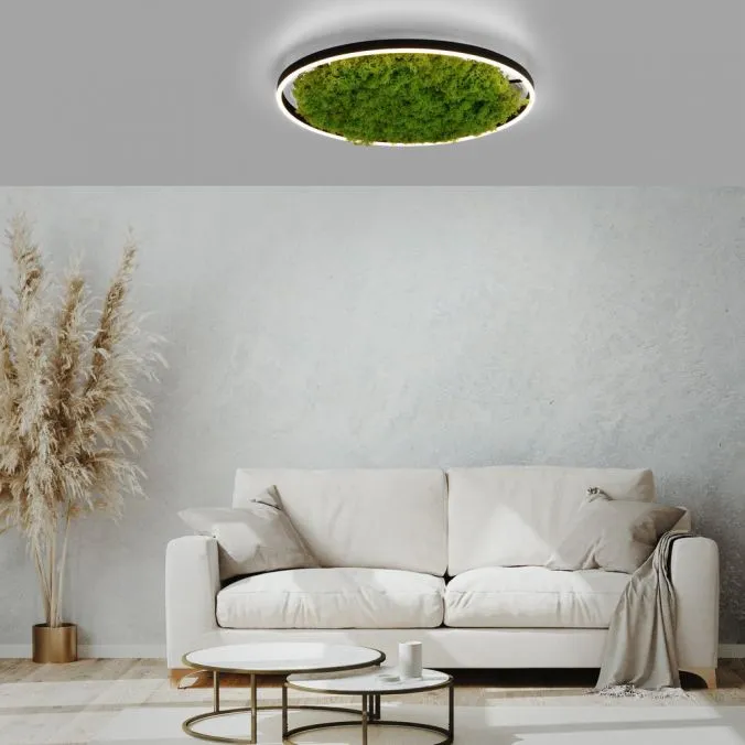 Lampa sufitowa GREEN RITUS 15392-66 - Paul Neuhaus - obrazek 2