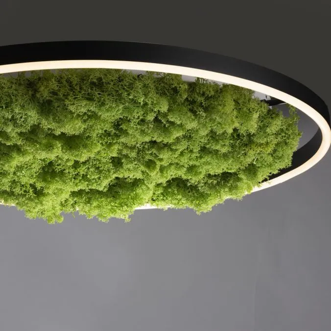Lampa sufitowa GREEN RITUS 15392-66 - Paul Neuhaus - obrazek 3