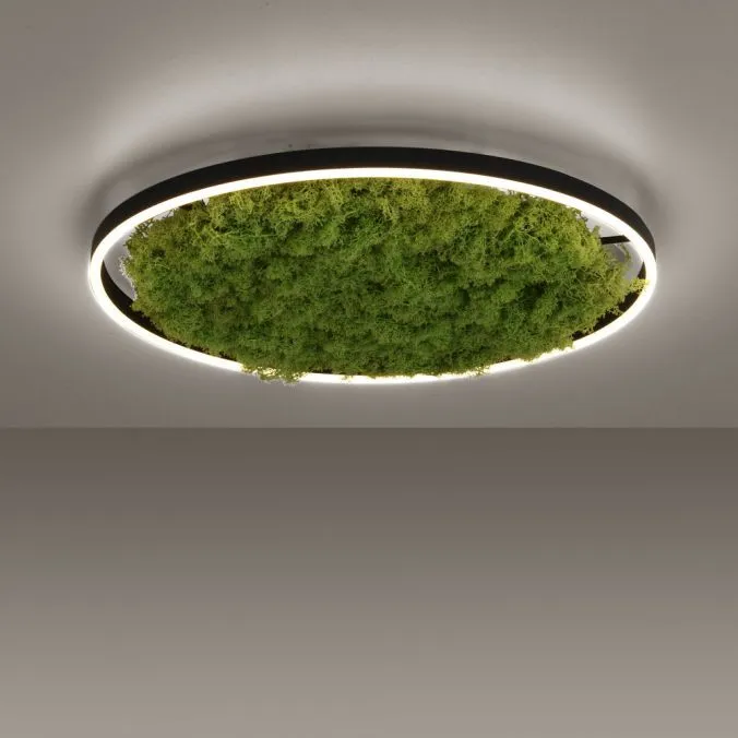 Lampa sufitowa GREEN RITUS 15392-66 - Paul Neuhaus - obrazek 4