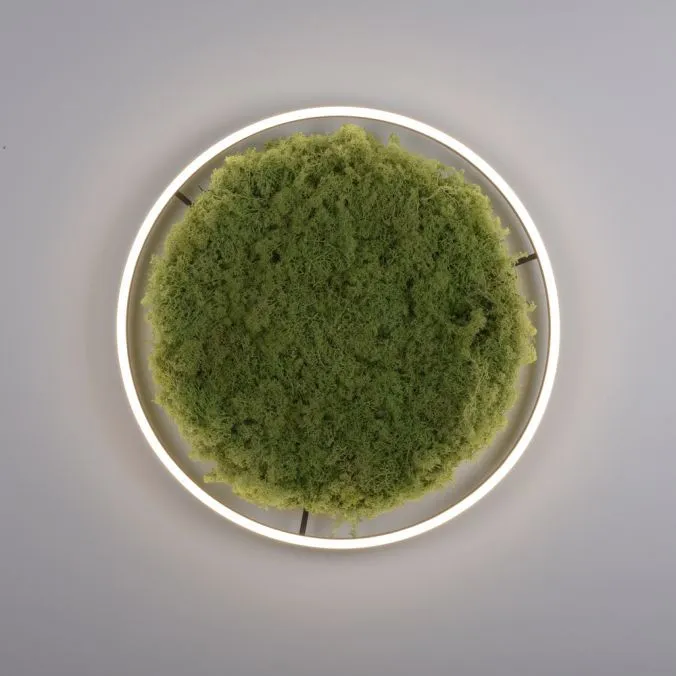 Lampa sufitowa GREEN RITUS 15392-66 - Paul Neuhaus - obrazek 6