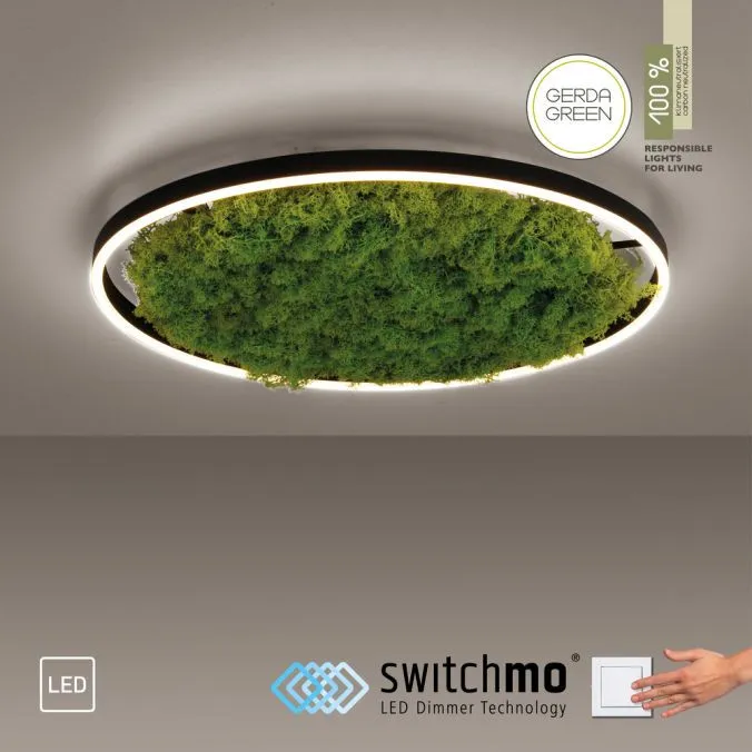 Lampa sufitowa GREEN RITUS 15392-66 - Paul Neuhaus - obrazek 8