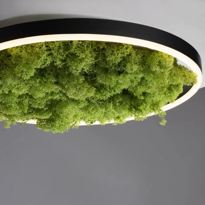 Lampa sufitowa GREEN RITUS 15391-66 - Paul Neuhaus - obrazek 3