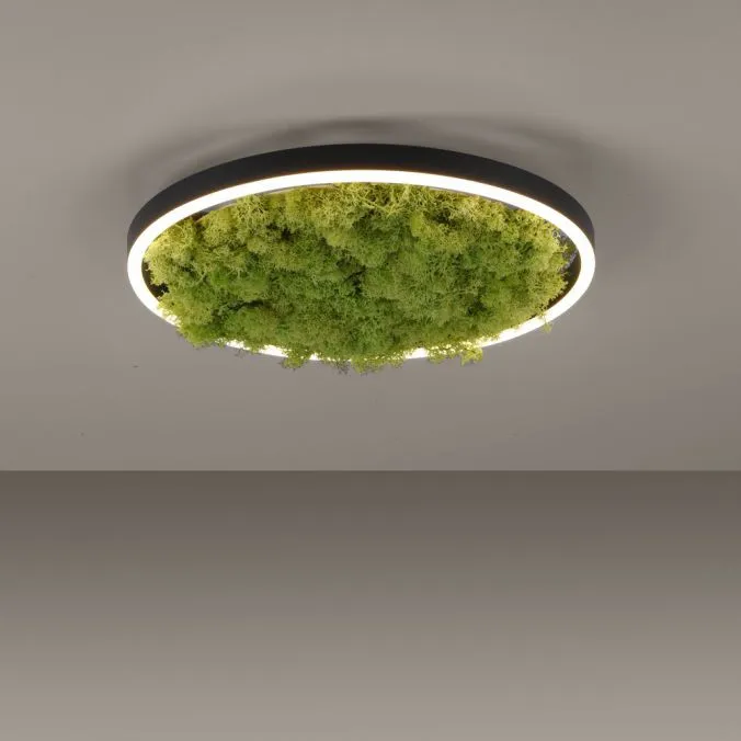 Lampa sufitowa GREEN RITUS 15391-66 - Paul Neuhaus - obrazek 4