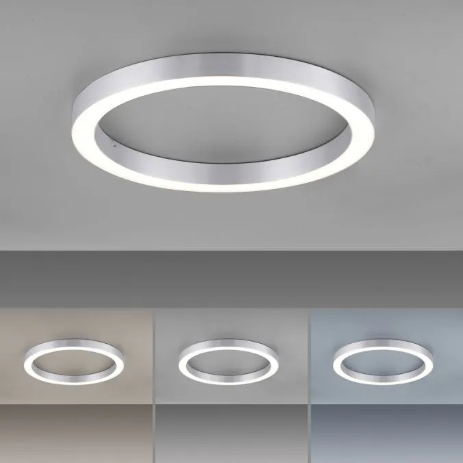 Lampa sufitowa PURE-LINES 6309-95 - Paul Neuhaus - obrazek 5