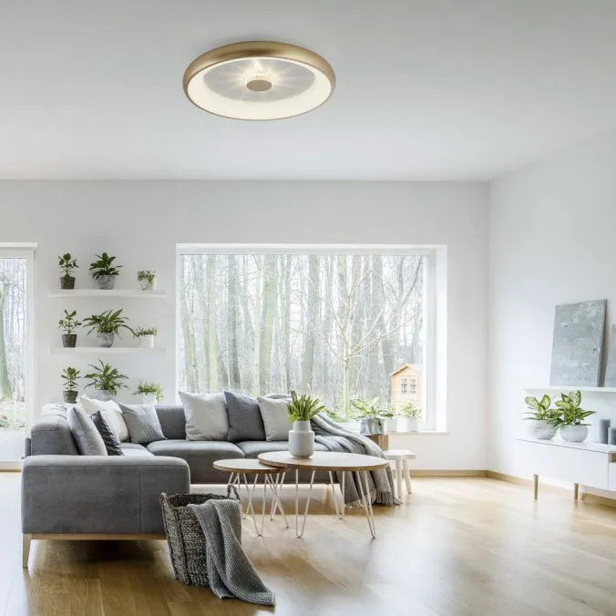 Lampa sufitowa LED VERTIGO 14386-60 - Paul Neuhaus - obrazek 2