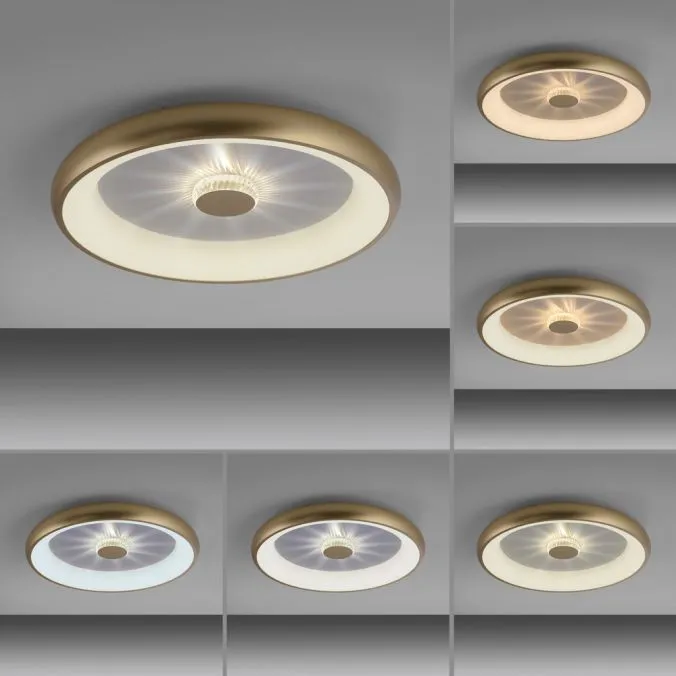 Lampa sufitowa LED VERTIGO 14386-60 - Paul Neuhaus - obrazek 4