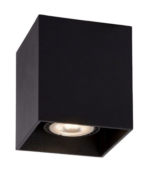 Lampa sufitowa BODI 09101/01/30 - Lucide