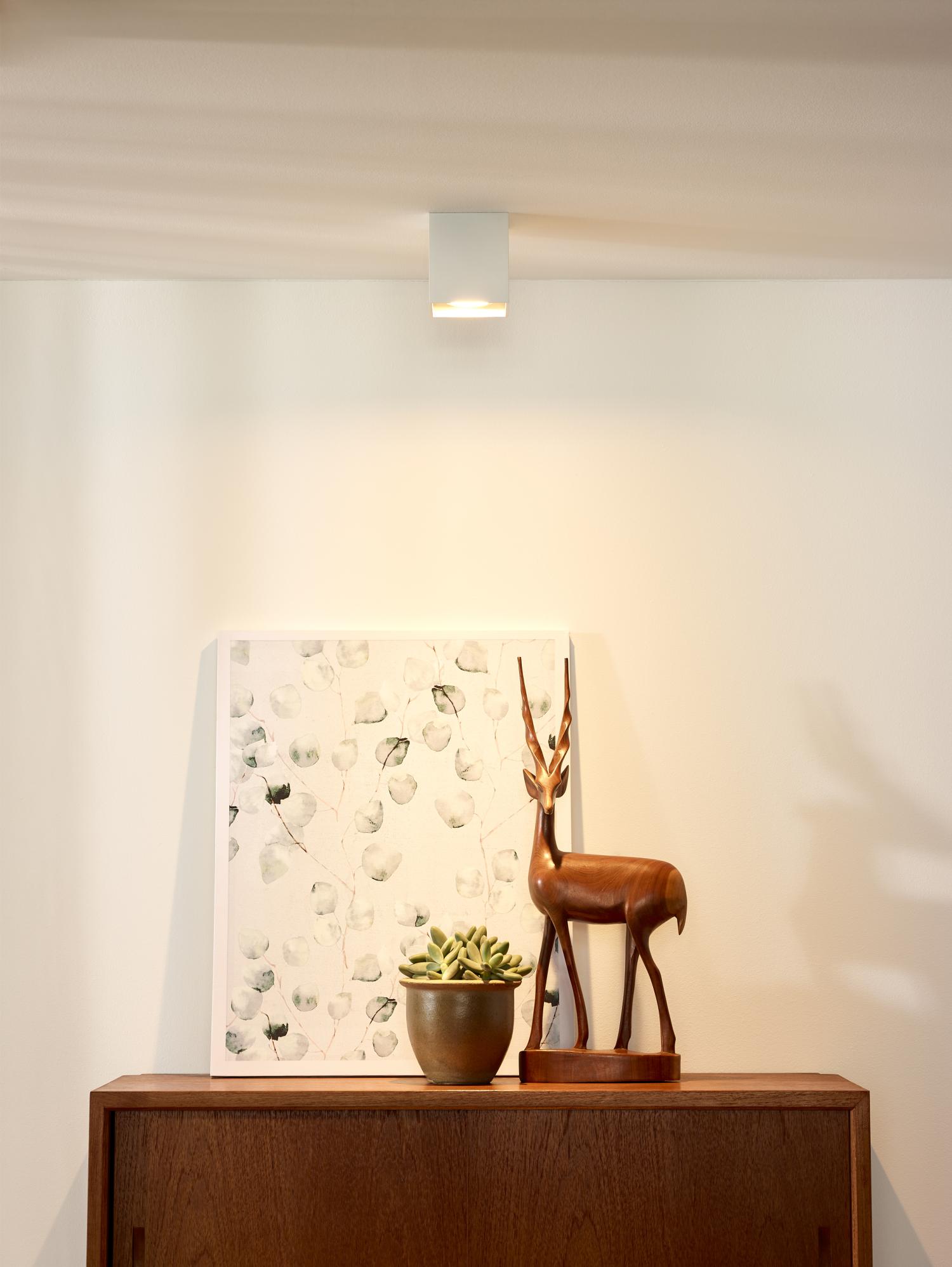 Lampa sufitowa BODI 09101/01/31 - Lucide - obrazek 3
