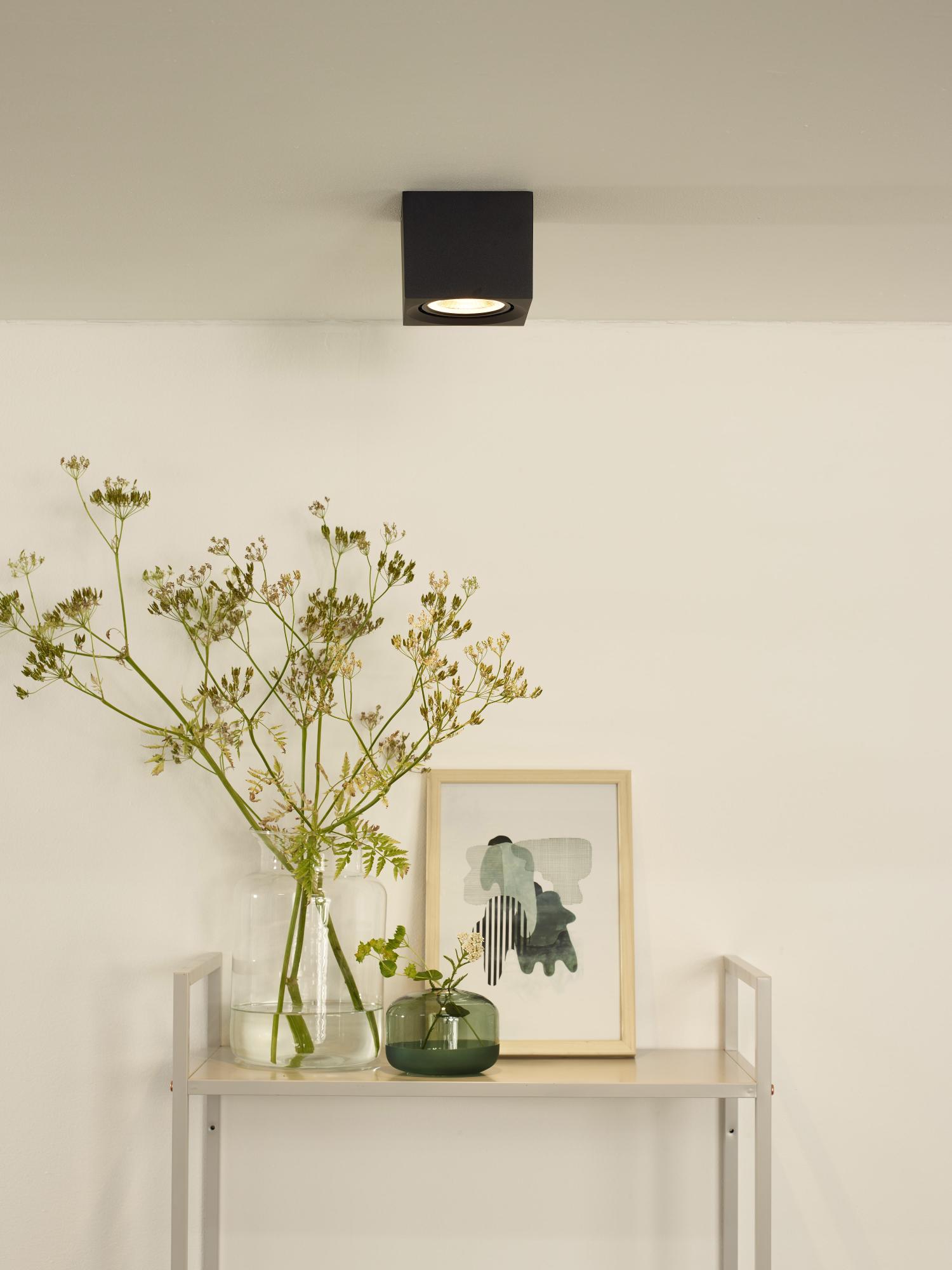 Lampa sufitowa FEDLER 09922/12/30 - Lucide - obrazek 3