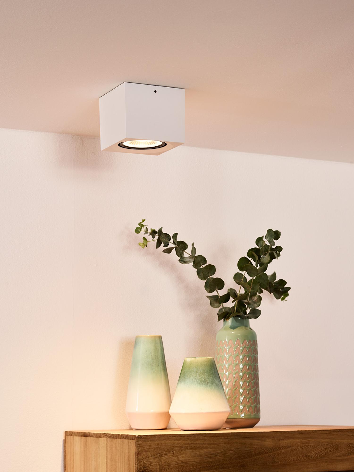 Lampa sufitowa FEDLER 09922/12/31 - Lucide - obrazek 3