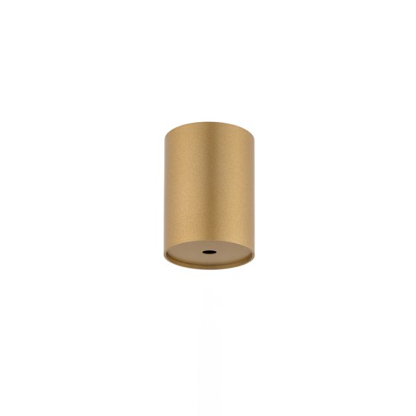 Puszka do systemu CAMELEON CANOPY E Satynowy złoty 10532 - Nowodvorski Lighting