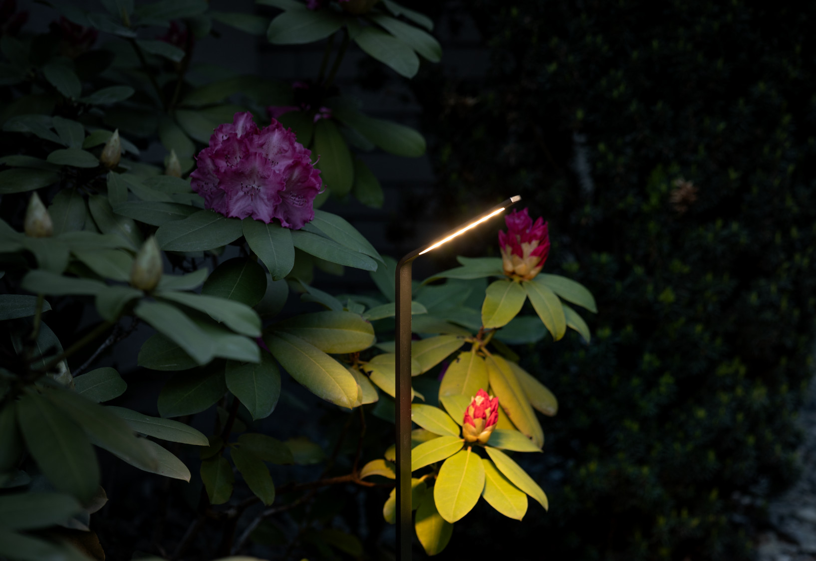 Lampa stojąca SLIM LED czarna IP54 11540 - Nowodvorski Lighting - obrazek 9
