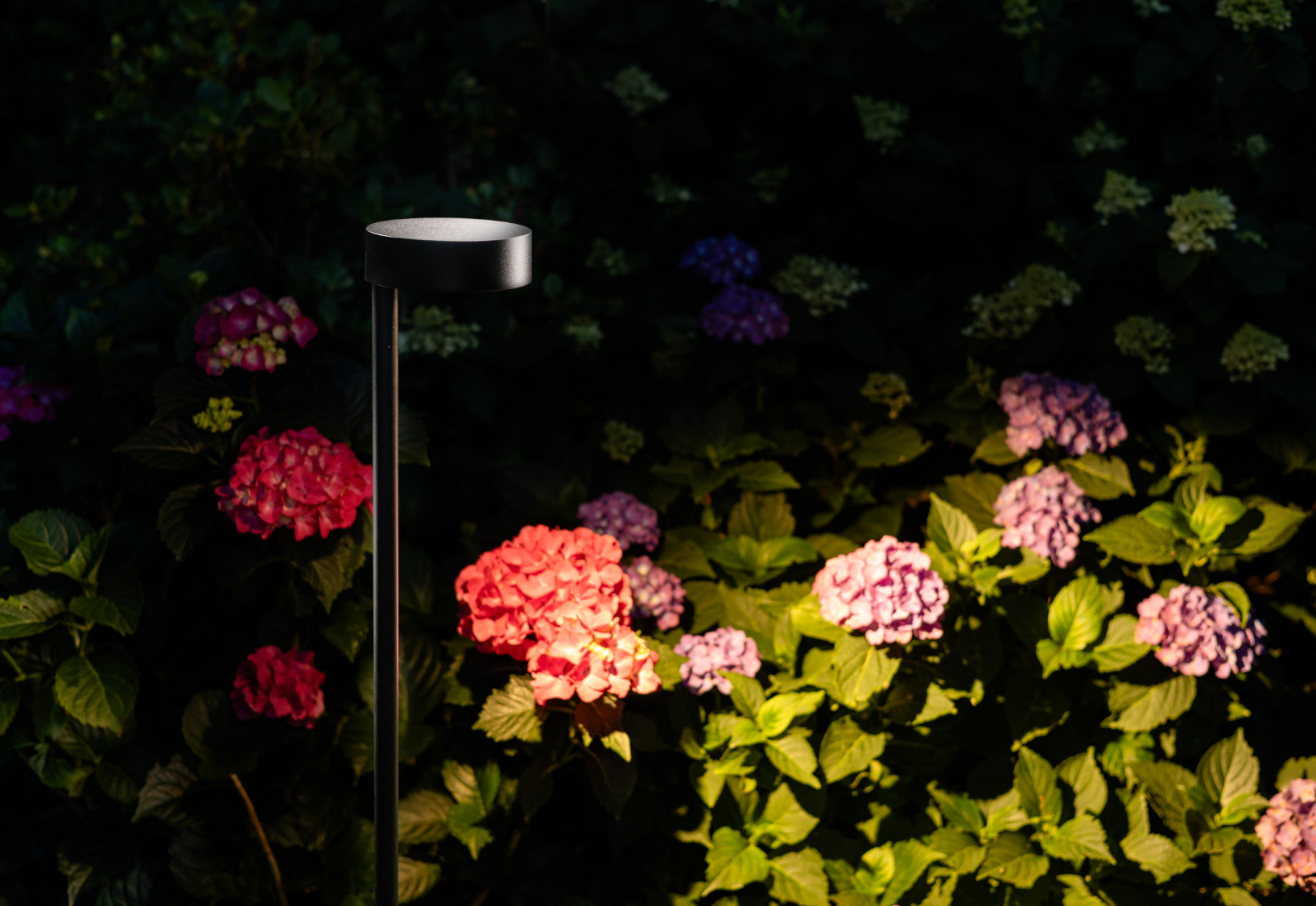 Lampa stojąca RUBY LED czarna 11542 - Nowodvorski Lighting - obrazek 7