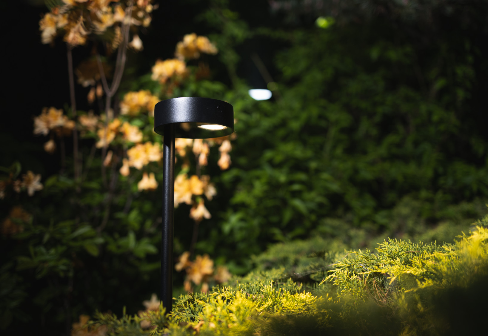 Lampa stojąca RUBY LED czarna 11542 - Nowodvorski Lighting - obrazek 8