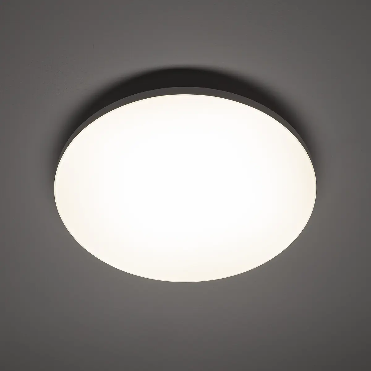 Plafon DENIA LED M 4000K z sensorem biały 11762 - Nowodvorski Lighting - obrazek 2