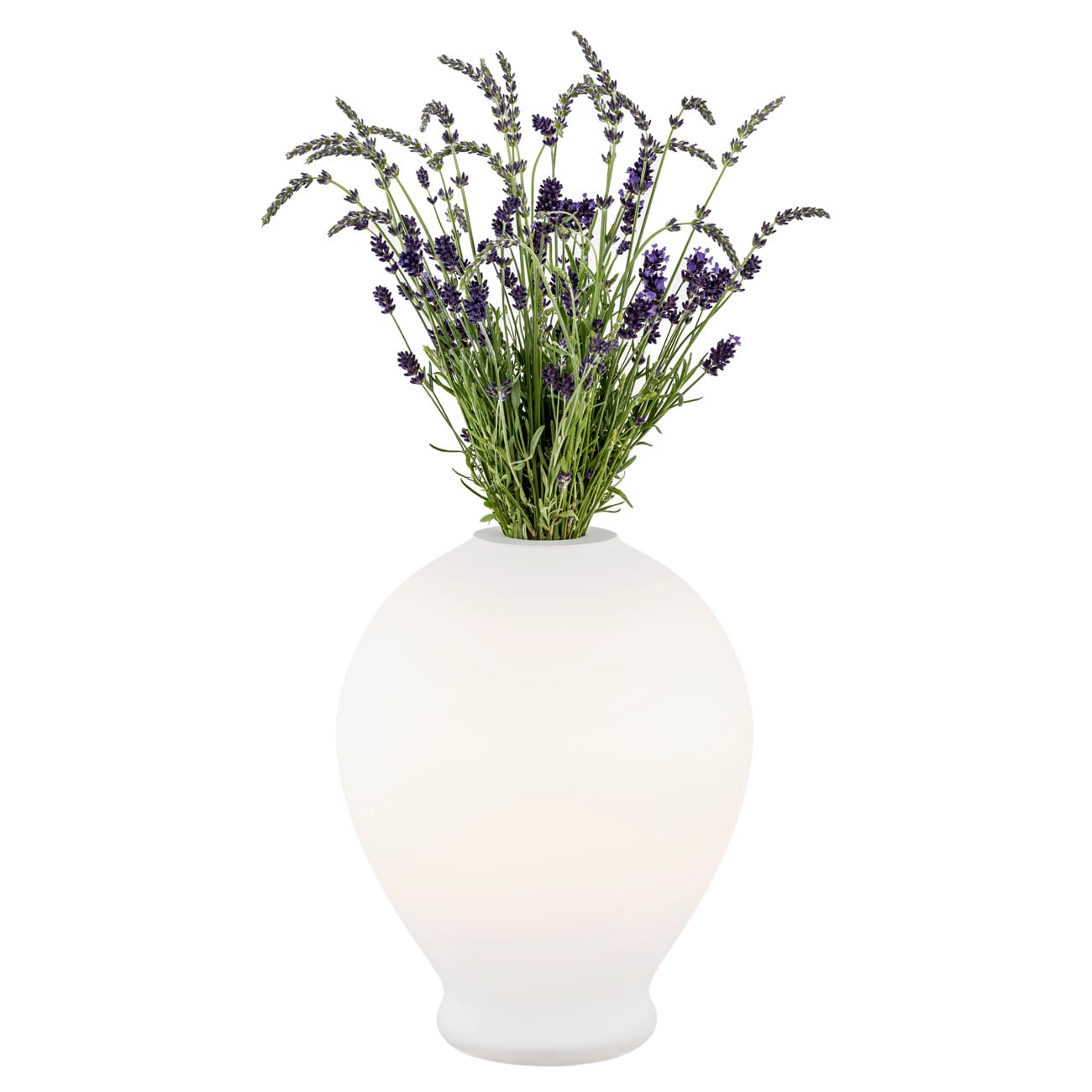Lampa stołowa z funkcją wazonu AMARYLIS 4095 – Argon - obrazek 2