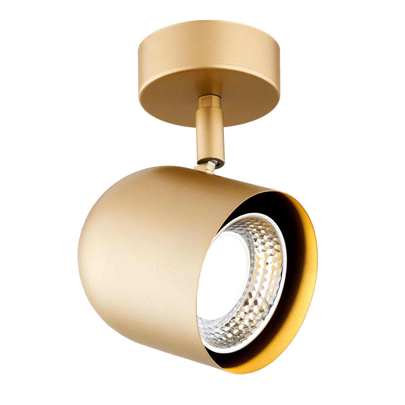 Lampa ścienna/sufitowa reflektor ISOLA 8260 - Argon