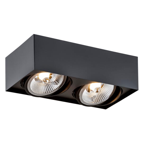 Oprawa sufitowa nowoczesna RODOS PLUS 1049 GU10x2 czarna - Argon