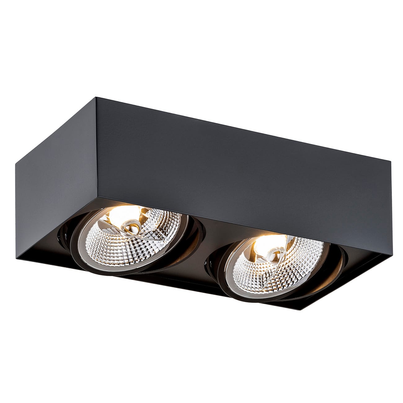 Oprawa sufitowa nowoczesna RODOS PLUS 1049 GU10x2 czarna - Argon