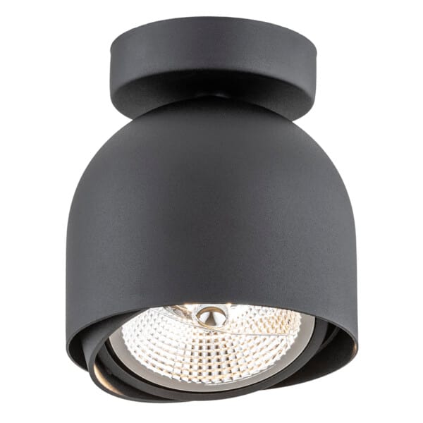 Oprawa sufitowa reflektor GARLAND 4711 czarny - Argon