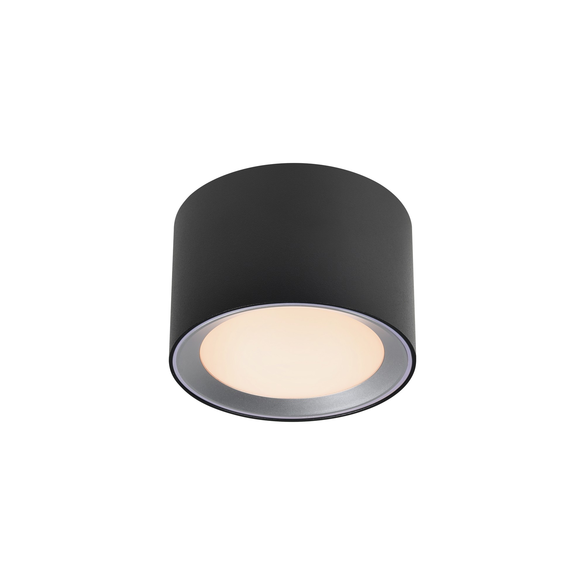 Lampa łazienkowa LANDON Nordlux 1xModuł LED Metal Czarny NO2110660103 - Nordlux - obrazek 6