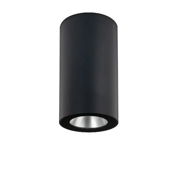 Oprawa sufitowa zewnętrzna NIDAROS 2122GR - Norlys